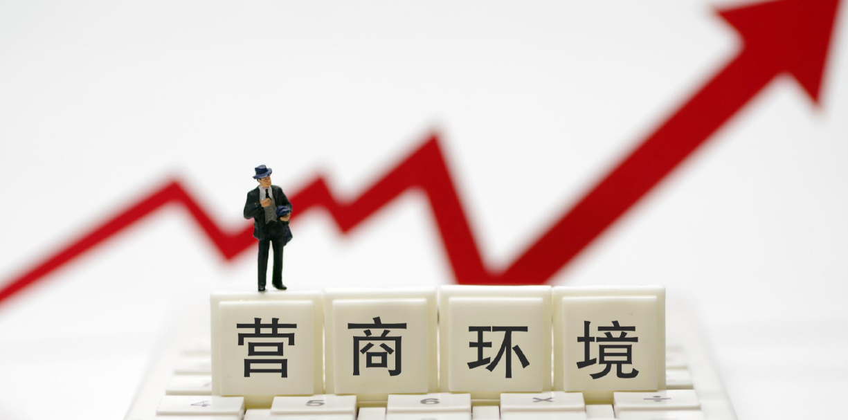 政策咨询